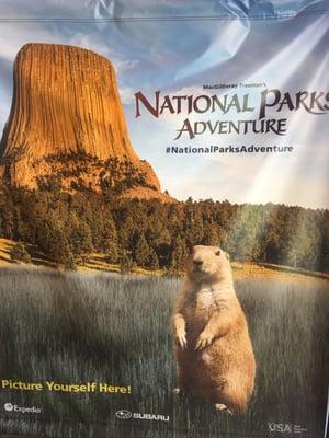 Just saw national parks adventure