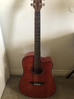 Acoustic Electric Guitar