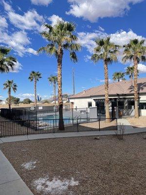 Pool area in back of leasing office