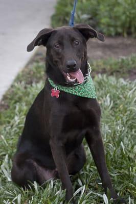 12/19/09 Adoption Day