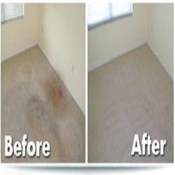 Carpet Cleaning Stafford