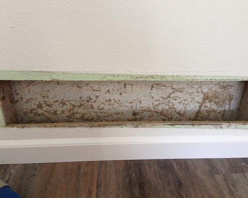 Indoor Air Quality - mold