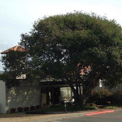 Shop entrance in the northwest corner of the Community Church of the Monterey Peninsula property, near the small chapel.