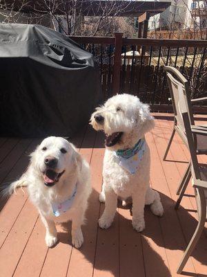 My beautiful boys after their spa day!