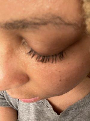 Smash Lashes