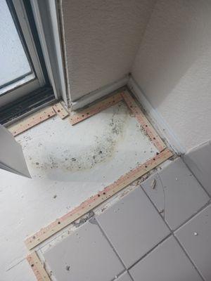 Mold