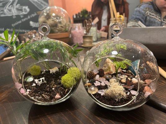 Terrarium party!