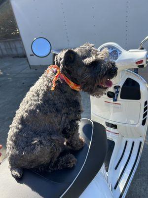 Heidi on the Vespa.