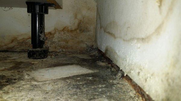 Water Damage Restoration in Pompano Beach, FL: