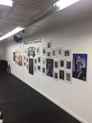 Wall of fame