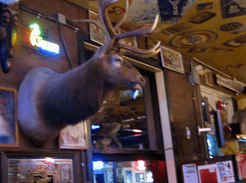 Typical decor you see in bars in Sheridan.