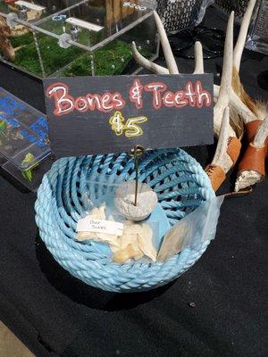 Bones and teeth