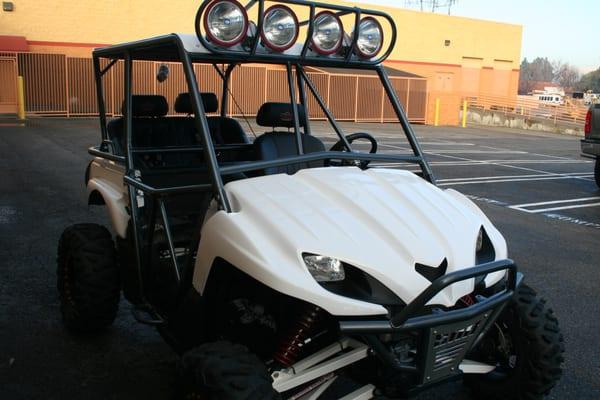 Trex Mods, Roll cage, Lights, Seats, Audio system, Rims and tires.