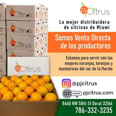 PJ Citrus