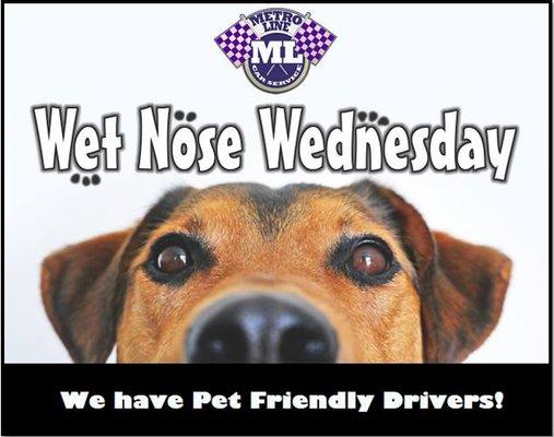 Metroline Car Service also thinking in our 4 legged friends.