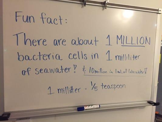 Fun fact - yikes!