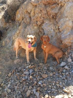 Charlie Brown and Murphy cooling off