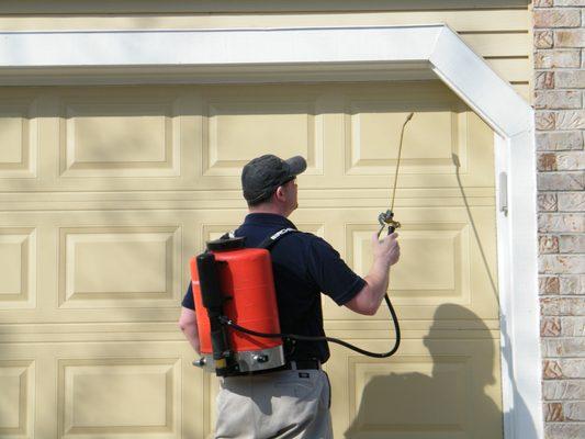 It is very common to have Yellow Jacket nests in the corners of the garage.