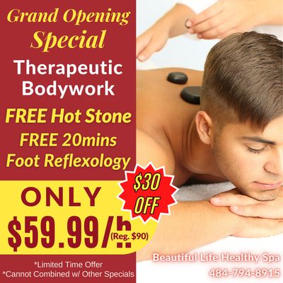 Therapeutic Bodywork ONLY $59.99/h