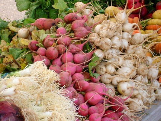 Scotch Plains Farmers Market