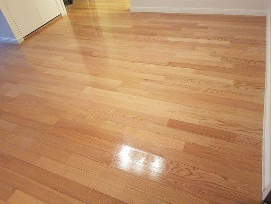 Hardwood Floor Refinishing