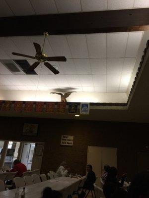 Eagles in the dining hall.