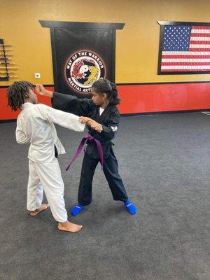 Way of the Warrior Martial Arts Studio Kids Class