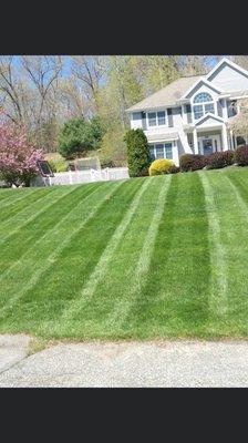 Lawn cutting