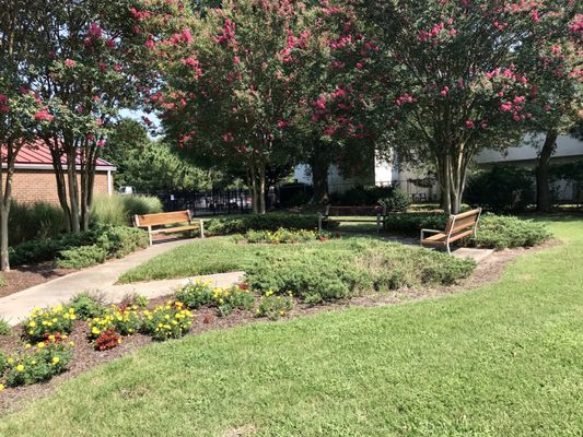 Park benches by the pool