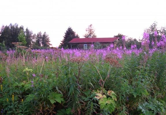 view of the Blue Heron B&B from the road