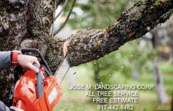 Jose M. Landscaping