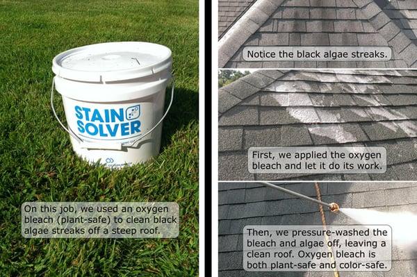 Pressure-washing a roof with oxygen bleach to remove black algae streaks.