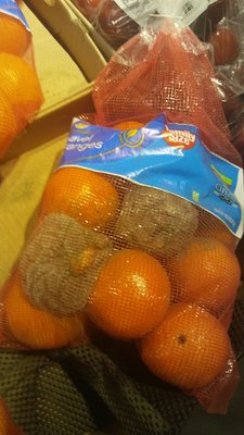 Picture of rotting oranges. Not the only rotting food in the produce section