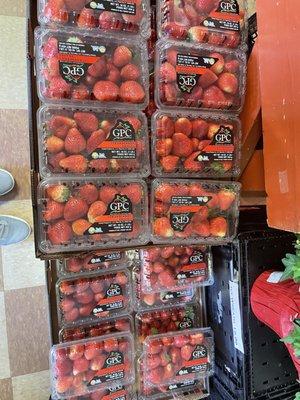 Plant City Strawberries