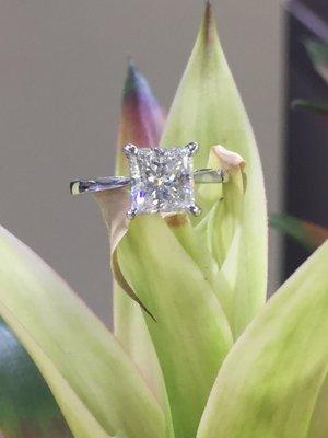 2.50ct princess cut diamond in custom solitaire.