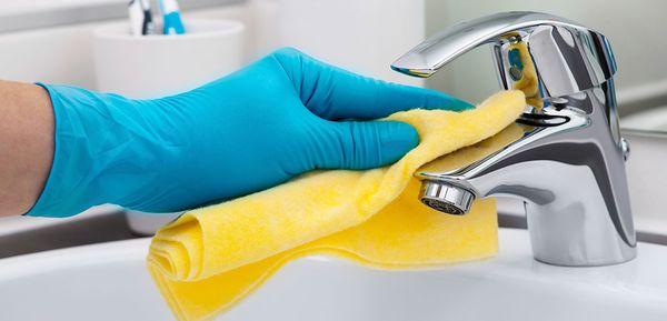 Organic Cleaning Services