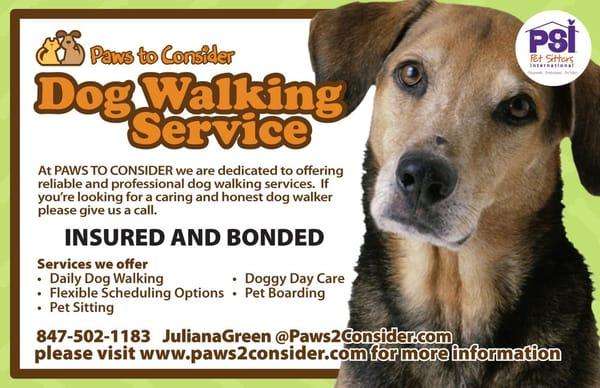 Professional Dog Walking Services