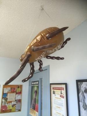 That is a big flea! Lol