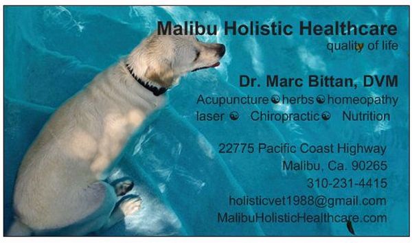 The new name and location for Dr.Marc Bittan