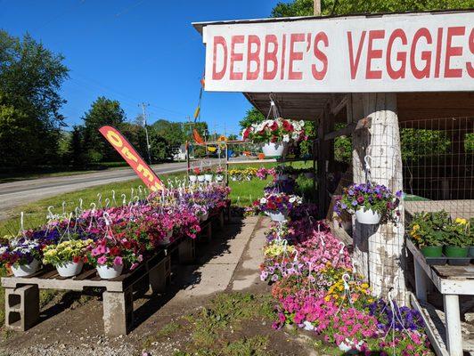 Debbies Veggies Rotarius Greenhouses