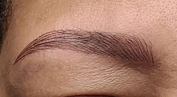 Brows By Camille