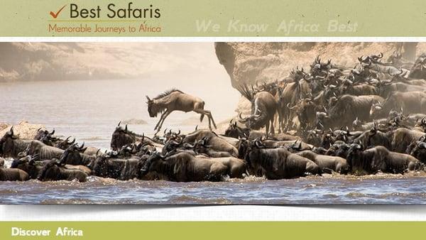 Best Safaris | Memorable Journeys to Africa