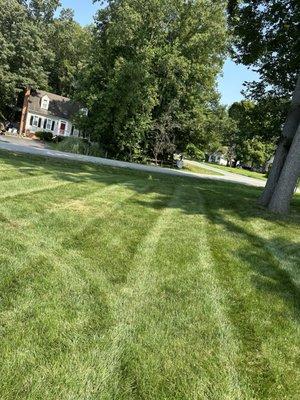 BC Lawn Care