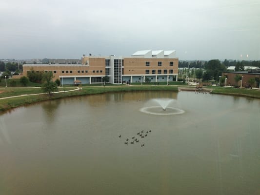 Looking down from 3rd floor in the Library in LC Building looking at the pond and LW building.