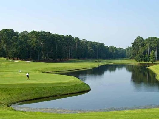 Let us help plan your next golf getaway on Hilton Head Island. http://www.seashorehhi.com/site/18295/Hilton-Head-Golf.aspx