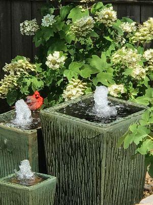 Backyard Bubbler