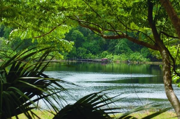 St. Johns River scenic view