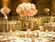 Speier Displays & Party Rentals