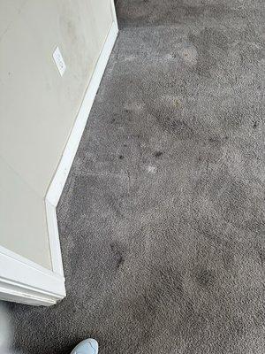 Nasty carpet