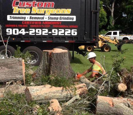 Custom Tree Surgeons